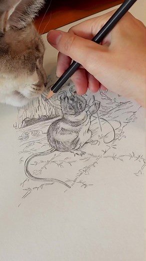 Whimsical Peter Rabbit Pencil Drawing