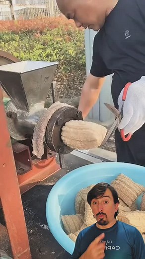 Absurdamente l React - Reagindo on Instagram: "Criação das Maria mole"