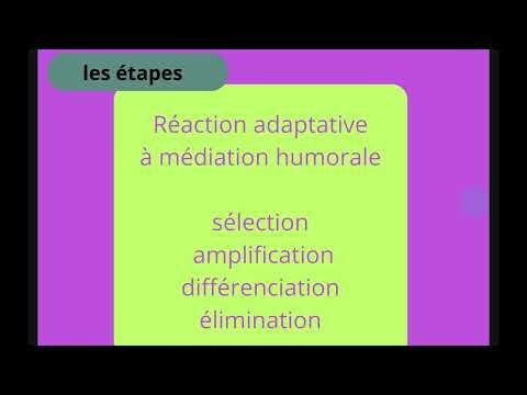 Chapitre 9 L'immunité adaptative humorale : Lymphocytes B et anticorps