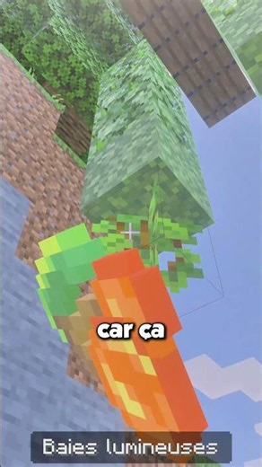 A SUSPENDED BUILD HACK in MINECRAFT !? 🤔