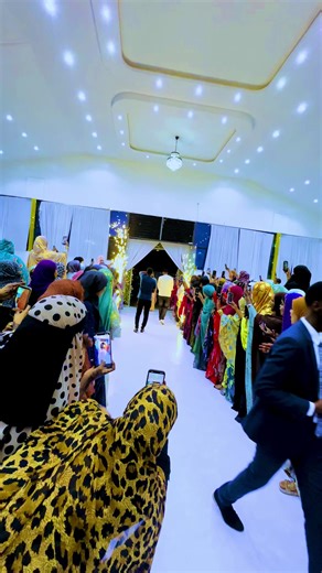 Explore Paradise Hall: A Visual Journey