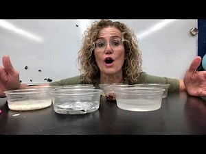 Second Grade, Solids with liquids