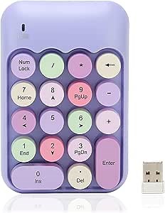 2.4Ghz Numeric Keypad, 18 Keys Mini Numeric Keypad, Vintage Color Keyboard and Round Keycaps, with USB Receiver for PC, Desktop and Laptop (Theme)