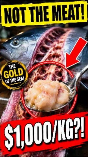 The Gold of the Sea Hidden Inside a Bluefin Tuna! #shortsvideo #food