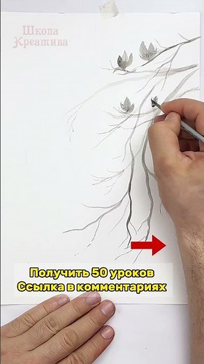 Рисуем Сакуру в технике У-Син за 5 минут