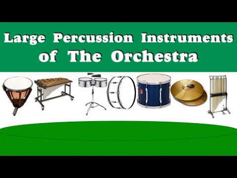 Introduction to the instruments of the Orchestra Large percussion instruments