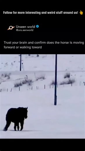 Unseen World on Instagram: "The "horse walking" illusion is a classic example of bistable perception—a phenomenon where an ambiguous image provides the brain with two equally valid interpretations, but the visual system can only "render" one at a time. Because the horse is typically shown in high-contrast silhouette (often black against white snow), the brain lacks essential depth cues like shadows or 3D texture. Without these, the motor system doesn't know if the horse's silhouette is turning i