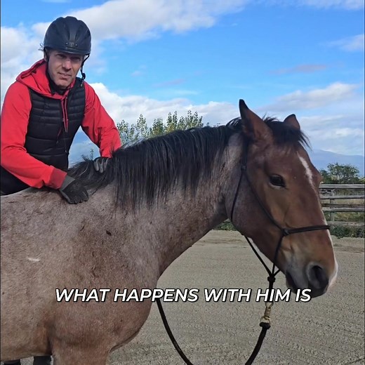 2.6K views · 47 reactions | This horse has learned humans are cool, as long as they don't push too hard. The challenge? Balancing saddle work and remembering that people are good. It's all about maintaining trust. #HorseTraining #EquineTrust #HorsebackRiding #AnimalBond #Horsemanship | Mastery Horsemanship | Facebook