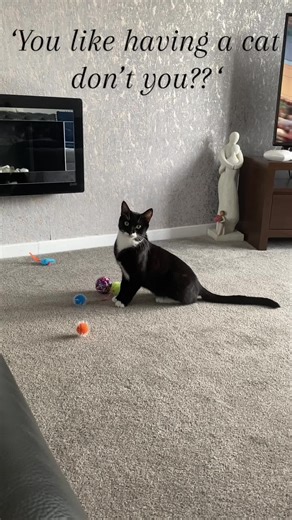 Girls bestfriend 😻😿