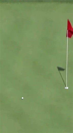 Long-Range Golf Shot That Sent Fans Into Celebration #golf #golfshot