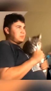 #cat #cats #kitten #meow #meowing #fyp #funny #love #catlover #kittycat #kitty #cutekitten #catfighting #snowday #Eagle #cold #holidaysytyle #nutcracker #ornament #asmr (129) | Cat Unbelievable