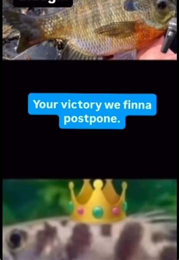 Bluegill vs Archerfish prod.@ned #fyp #foryoupage #fishyrapbattles #fish #music