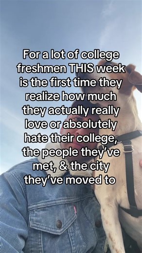 Understanding Freshman College Experiences