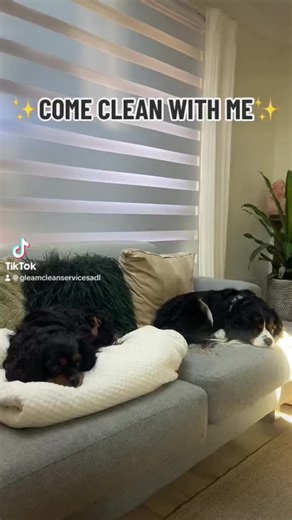 Gleam Clean Services Adelaide on TikTok