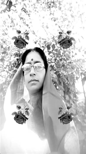 #highlights 🦜🦜🦜🦜🦜🦜🦜🦜