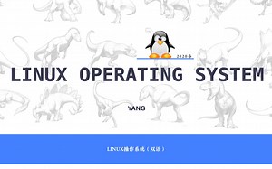 【操作系统原理及Linux实践】课程合集，带你理解操作系统，学期末考及考研党必备，