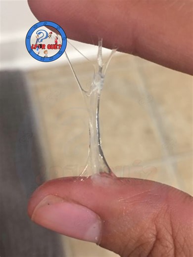 Adaptaciones del pez hielo antártico sin sangre roja