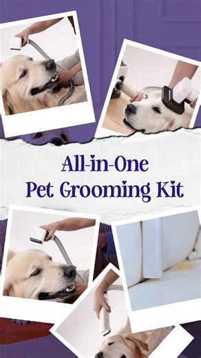 13 reactions | Petverse on Reels | Facebook