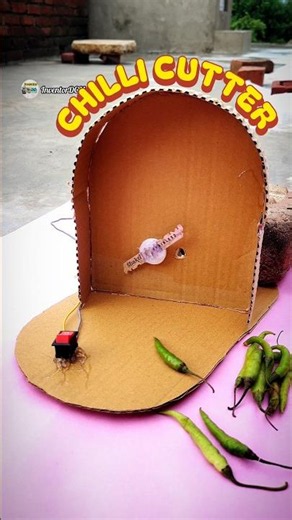 Chilli Cutter Powering DC Motor _Science Project