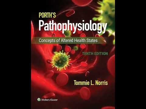 Male Reproductive System Disorders | Chapter 43 – Porth’s Pathophysiology (Tenth Edition)