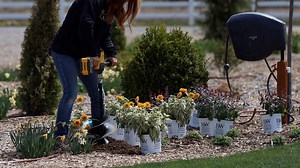 182K views · 8.9K reactions | Two New Perennials for 2023: Heliopsis & Agastache!  | Garden Answer | Facebook