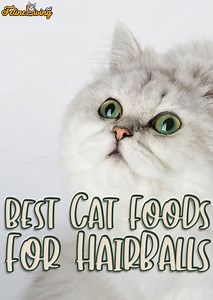 7 Best Cat Food For Hairballs: Top Picks To Reduce Shedding & Improve Digestion