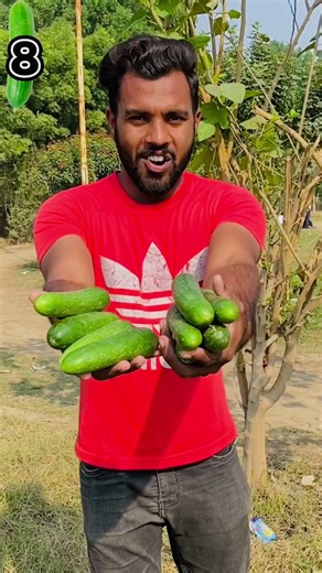 How many cucumber carry my weight??#viral