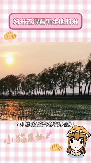 好米的诞生离不开好土壤，黑土地就是它的绝佳搭档#光合星球米粉 #5A米游记 #光合星球16A慢米粉 #人类为什么吃大米 #全球硬核妈妈都在推荐的米粉
