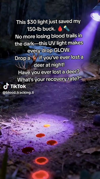 This $30 light just saved my 150-lb buck. 🩸🔦 No more losing blood trails in the dark—this UV light makes every drop GLOW. Drop a 🦌 if you’ve ever lost a deer at night! Have you ever lost a deer? What’s your recovery rate?” #DeerHunting #BloodTracking #HuntingGear #HuntersOfTikTok #DeerRecovery https://www.tiktok.com/t/ZPH7E1dgntmao-InINo/