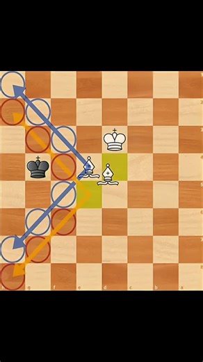 Checkmate With 2 BISHOPS! 🔥 ✅️