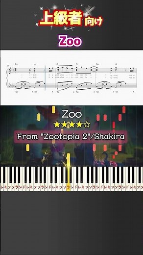 Zoo #Shakira #ズートピア2 #ピアノ #楽譜 #楽譜付き #shorts