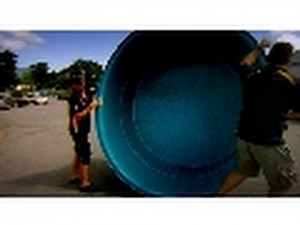 The Shark Tank | Animal Mega-Moves