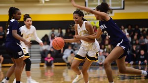 YAIAA girls' basketball preview 2021: A team-by-team breakdown