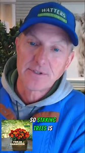 Are your tree stakes left in too long? Discover the best practices for planting and staking trees, and learn why timely staking and soil amendment are crucial for healthy growth. Let's transform your planting game! #TreeStaking #PlantingTips #GardeningHacks #TreeCare #SoilAmendment #HealthyTrees #Gardening101 #NatureLovers #GreenThumb #LandscapeDesign | Watters Garden Center | Facebook