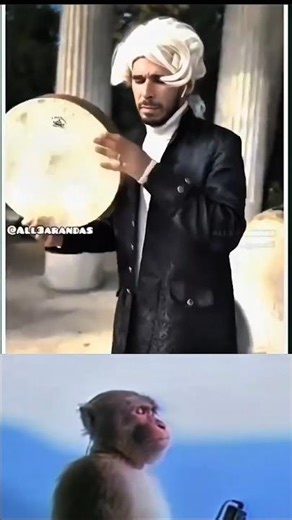 Beethoven Drops His LAST Album… And It’s Hilarious 😂🎹