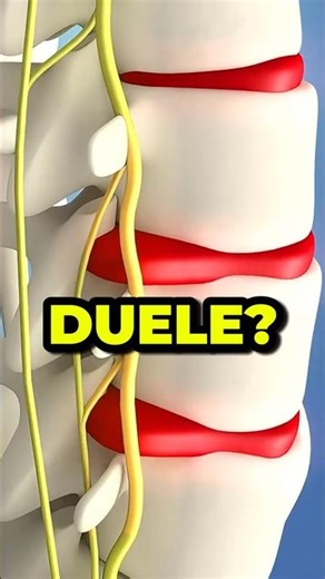 Tu Espalda es un ERROR de 7 Millones de Años 🦴 (nadie lo sabe)