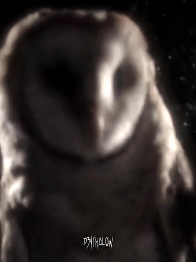 Phantom Bride by Deftones: An Underrated Masterpiece