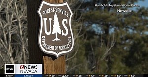 U.S. Forest Service impacted by federal firings