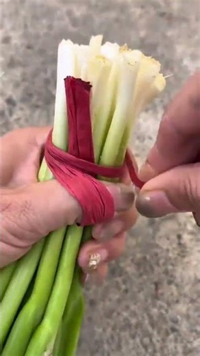 how to tie a string around a spring onion neatly