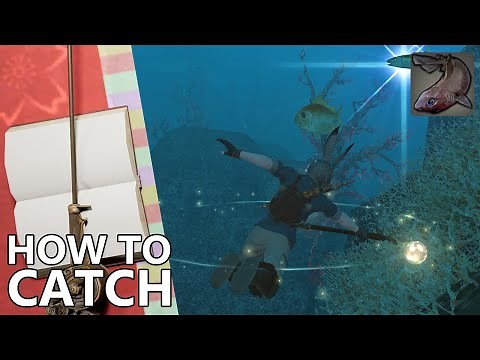 How to Catch Kitefin Shark in FFXIV