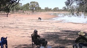 14K views · 524 reactions | Episode 9 and it’s Pig action in Pig heaven! Why go stalking when you can just shoot them sitting in camp Catch up with all the action from series 6 available now to rent or buy. | Beyond The Divide | Facebook