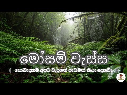 මෝසම් වැස්ස: ජීවය දෙන වර්ෂාව 🌧️💧 | The Monsoon: The Rain that Gives Life