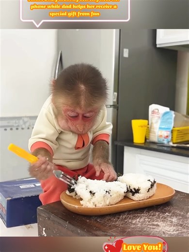Smart Baby Monkey Uses Phone for Special Gift