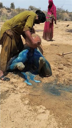 ابنة الصحراء وألم الصمت: فتاة تنقذ الجمل بالماء البارد 🐪💧