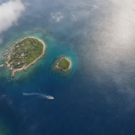 Cat Mood: Embrace the Middle Finger Vibes