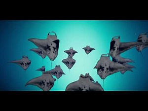 VRChat - Submerge by Fins