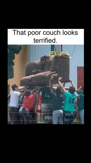 Johnny Bravo Explains Memes on Instagram: "Hey everyone, Johnny here to explain. This meme shows a group of people struggling to load a couch onto a car, with the couch positioned awkwardly on top of the vehicle. The text humorously suggests that the couch looks "terrified," likely because of the way it's being transported—reminiscent of how someone might look if they were scared or anxious. The anthropomorphized idea of the couch being terrified plays into the visual absurdity of the situation,