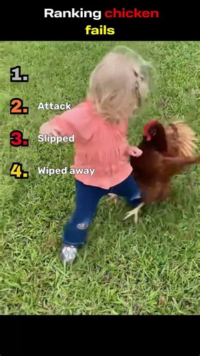 Ranking chicken fails