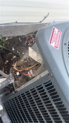 Wikus the squirrel is chewing wires and proving work for us. #hvac #squirrel