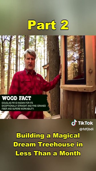 Building a Magical Dream Treehouse: Part 2